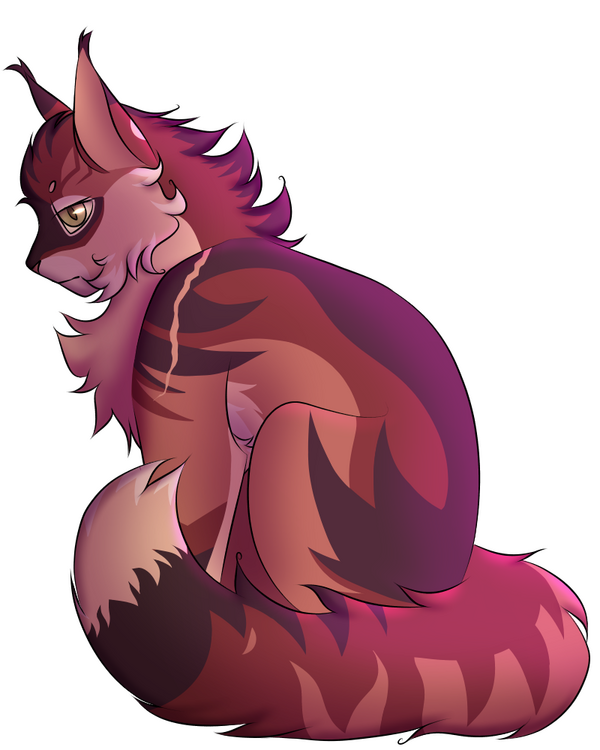 1 full body = $20.00