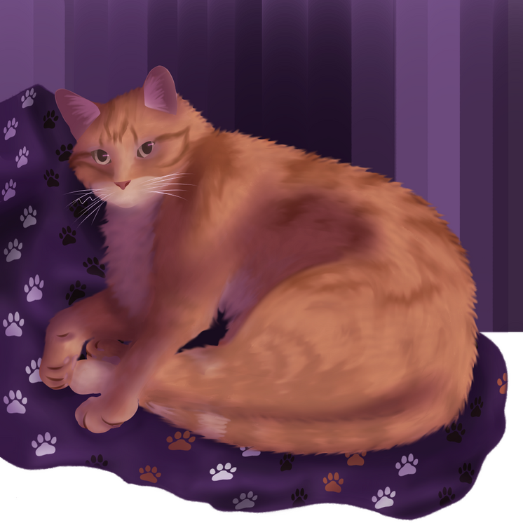 1 full body = $35.00